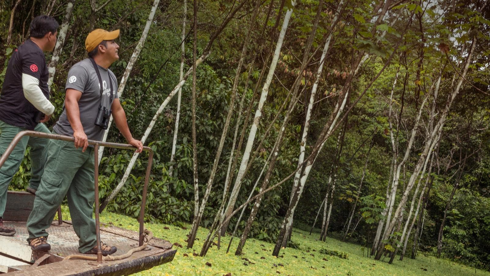 G Lodge Amazon - 5 Day Independent Adventure