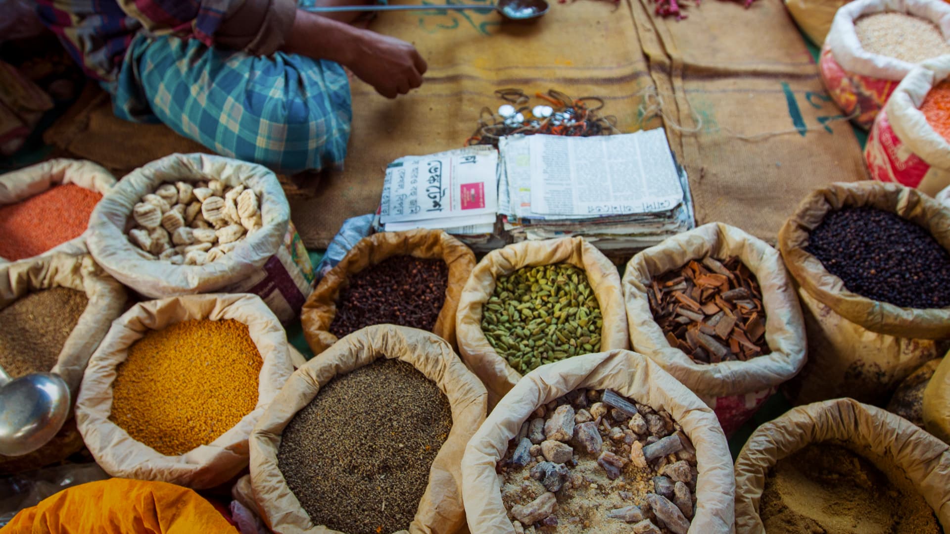 Northern India: Riverside Safaris, Ancient Fortresses & The Taj Mahal