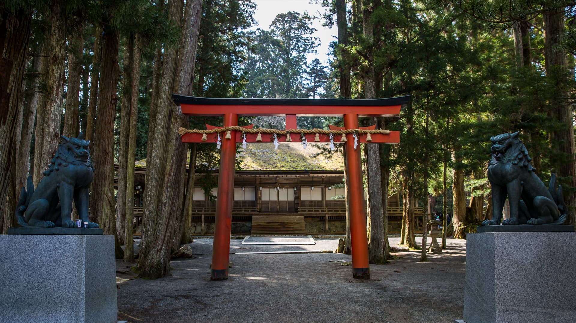 Japan Express – Osaka to Tokyo