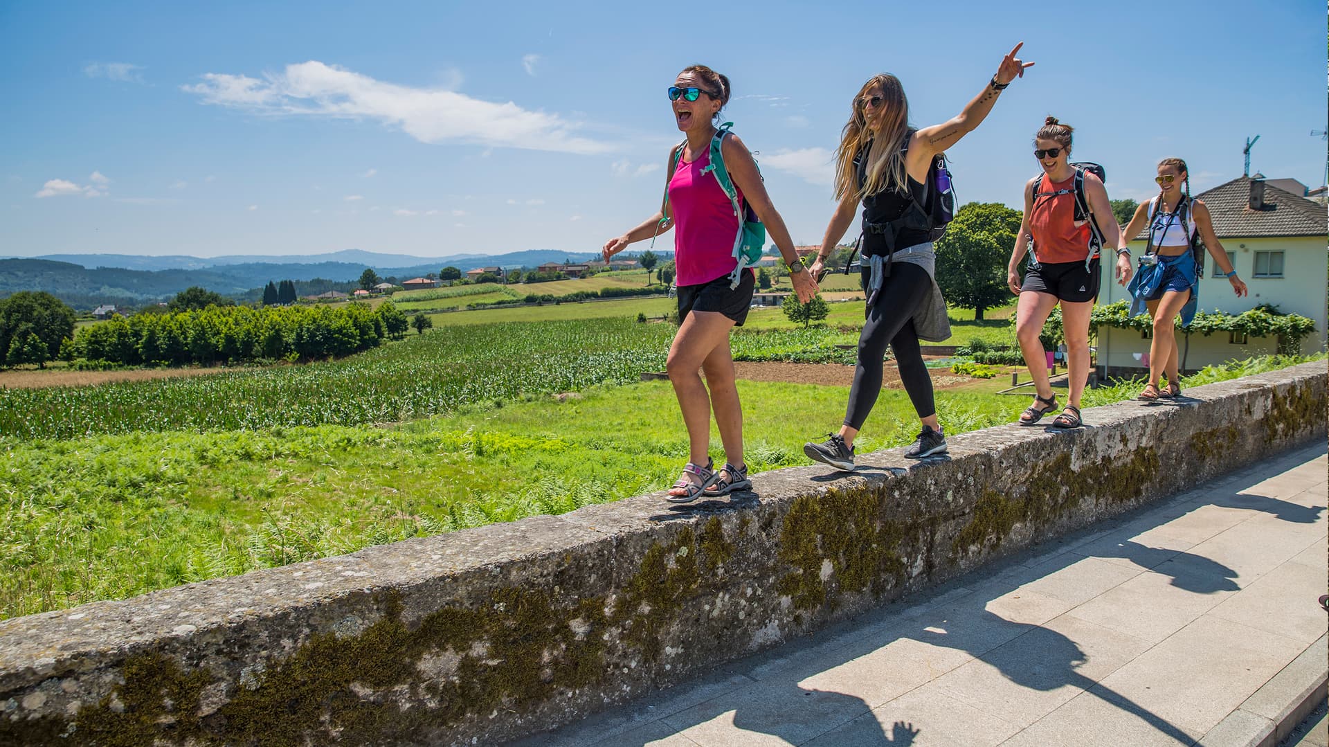 Walk the Camino de Santiago