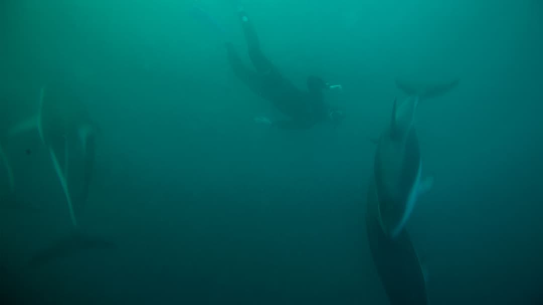 Jordan Active Adventure