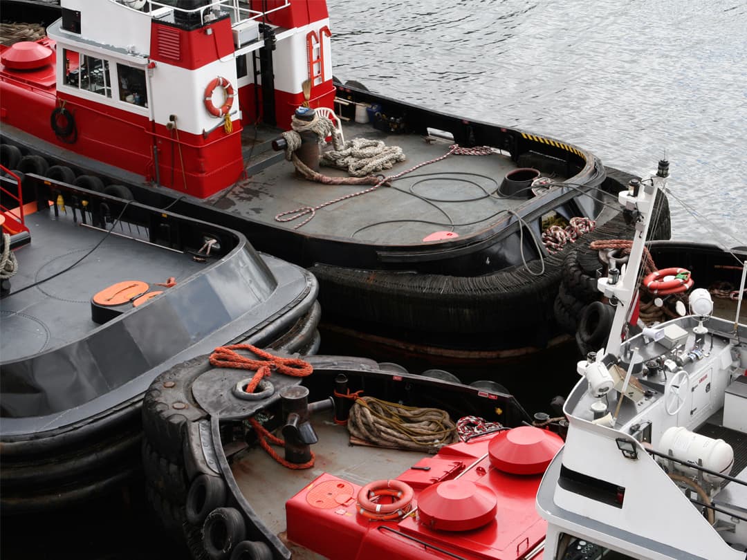 Canadian Rockies Encompassed