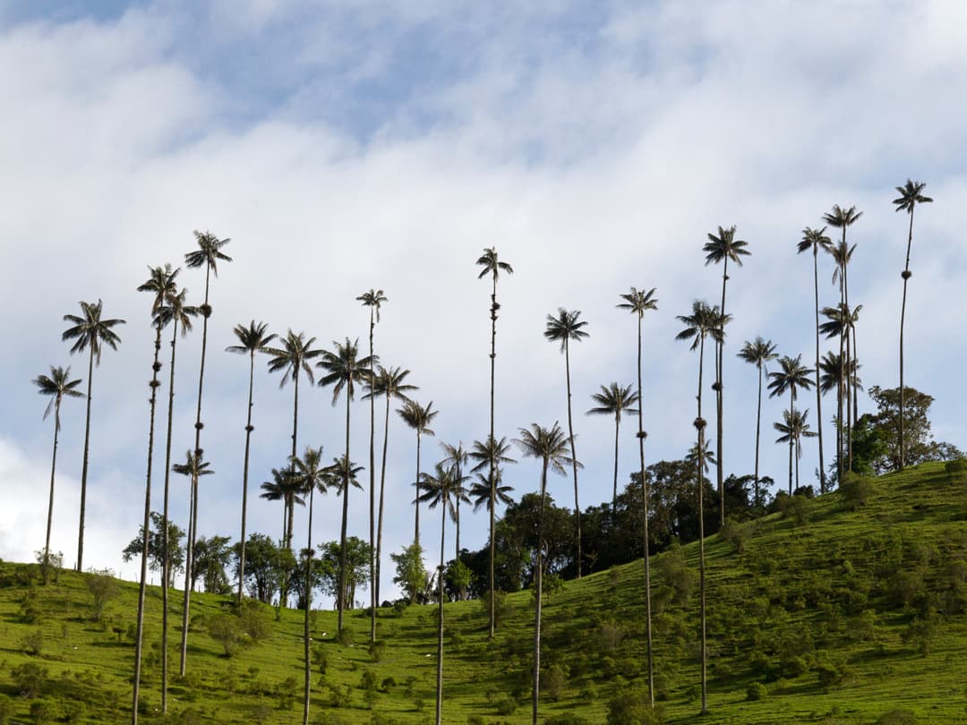 Journeys: Explore Colombia