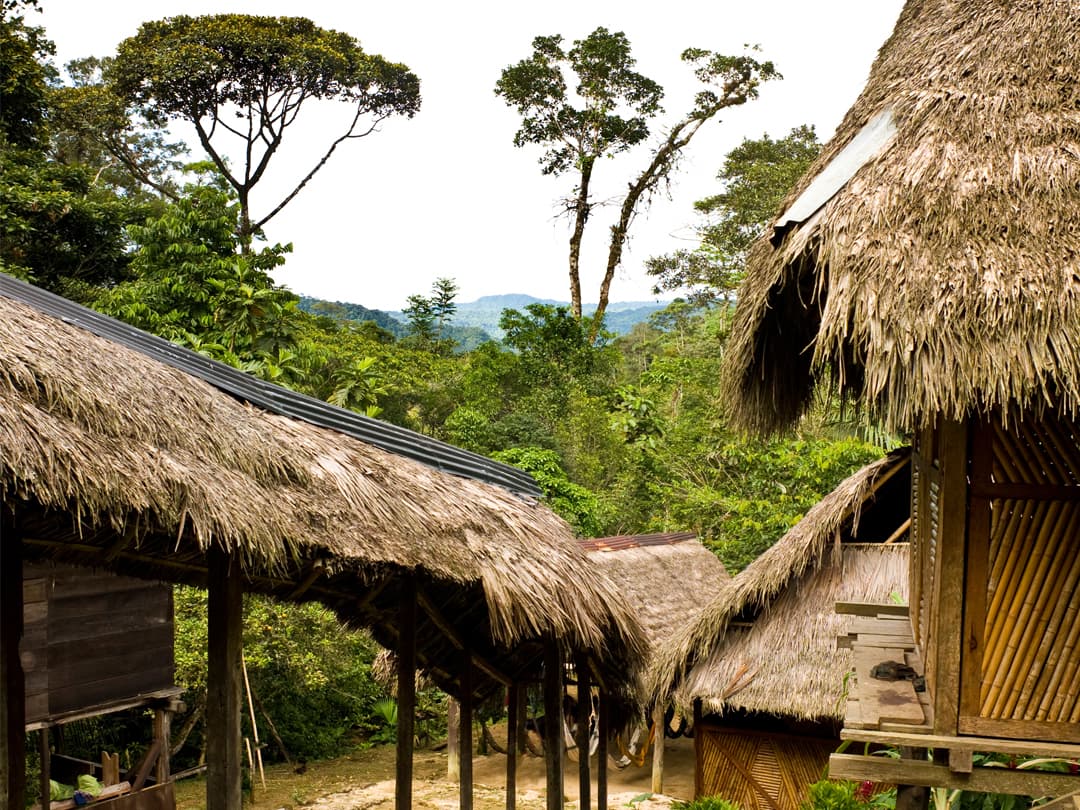 Ecuador: The Amazon, Cloud Forests & Crater Lakes