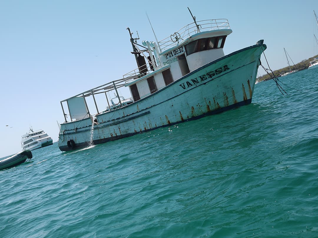 Complete Galápagos - Eden