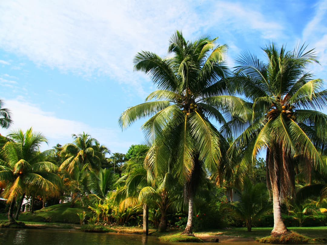 Epic Central America: Seven Countries & the Softest Sand Ever