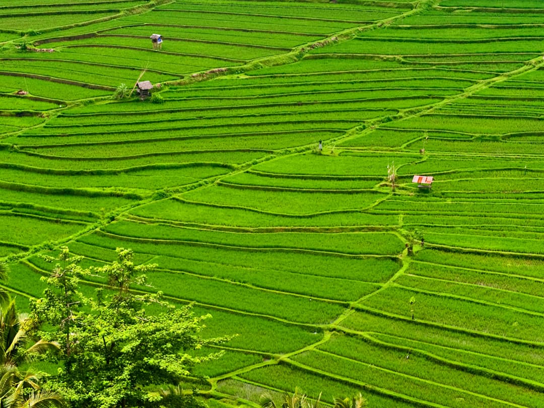 Indonesia: Java, Bali & Komodo Island