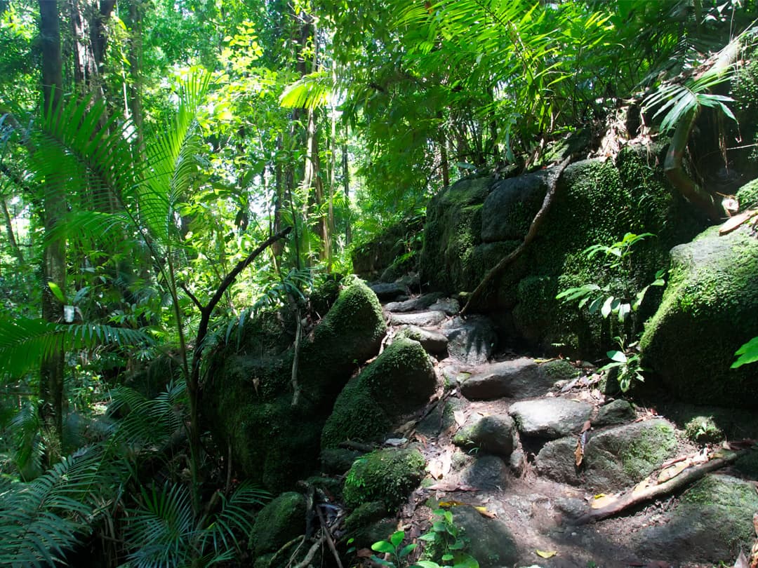 Journeys: Discover Australia