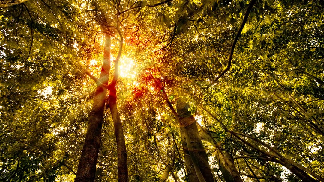 Journeys: Explore Costa Rica