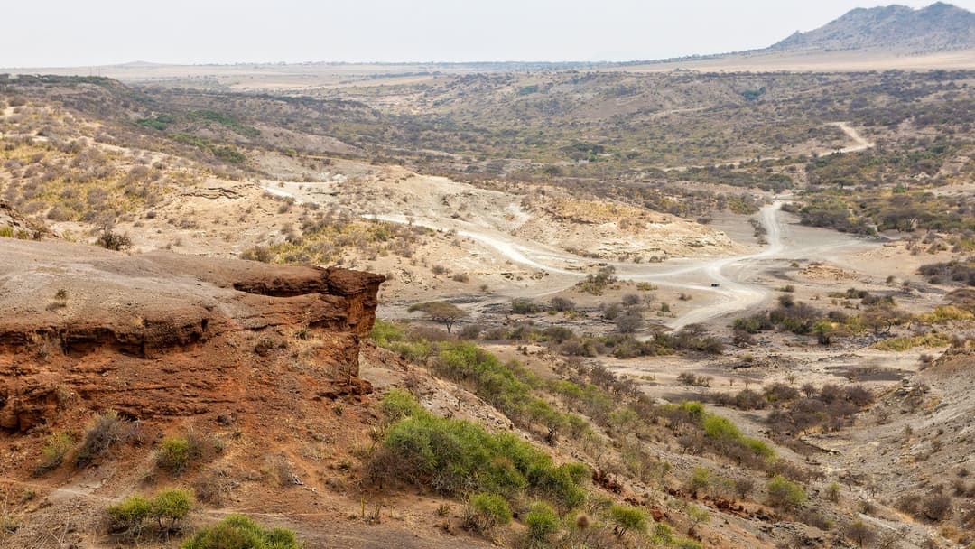 Journeys: Tanzania Safari Experience