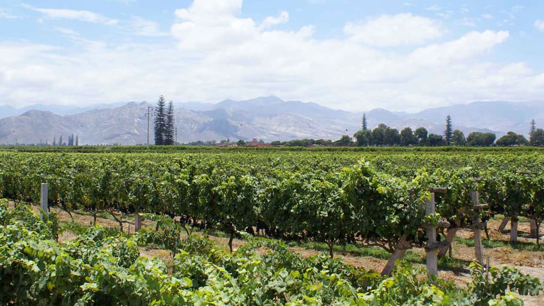 Journeys: Inca Explorer