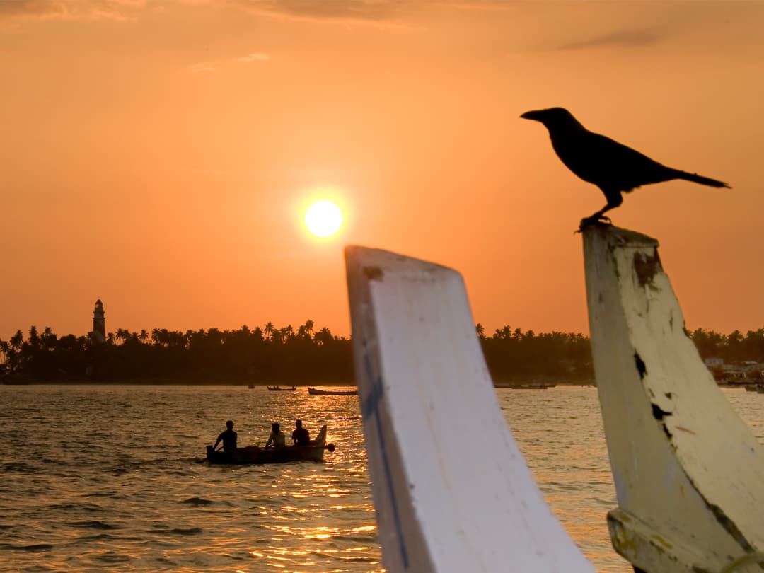 Kerala: Beaches & Backwaters