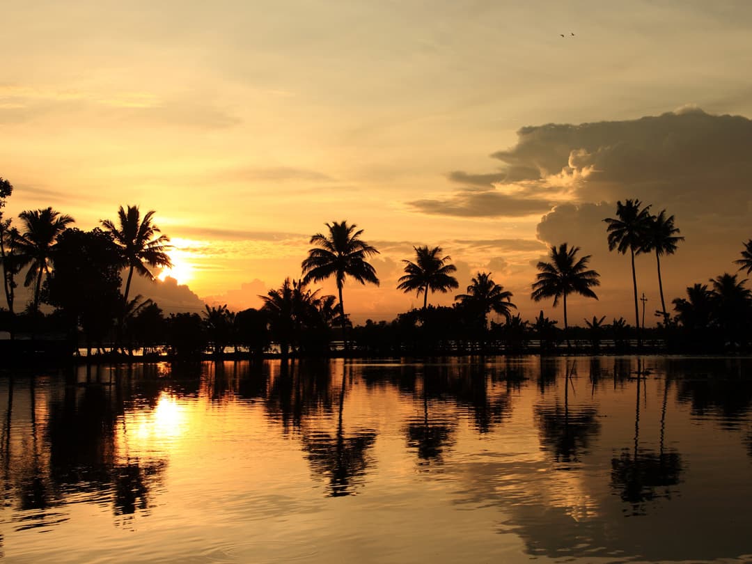 Kerala: Beaches & Backwaters