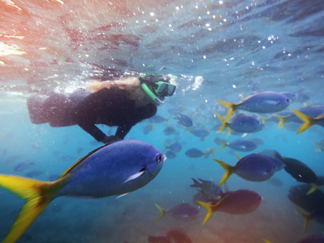 Australia and New Zealand: Surfing & National Parks