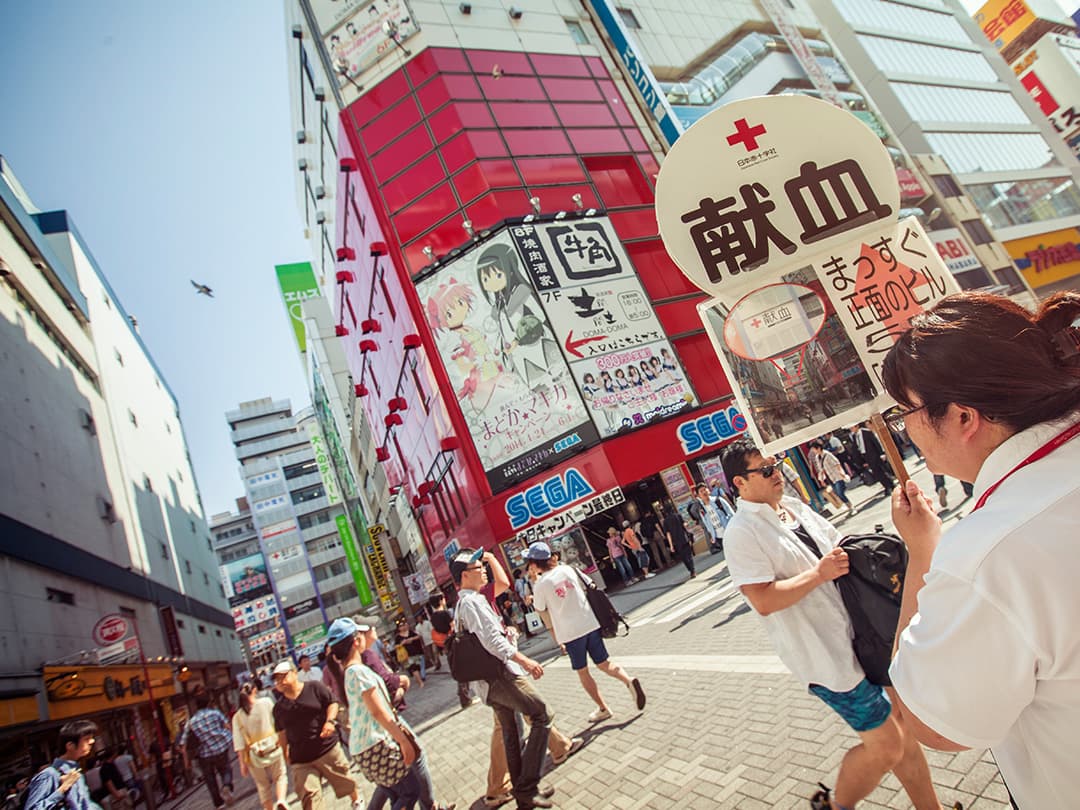 Absolute Active Japan