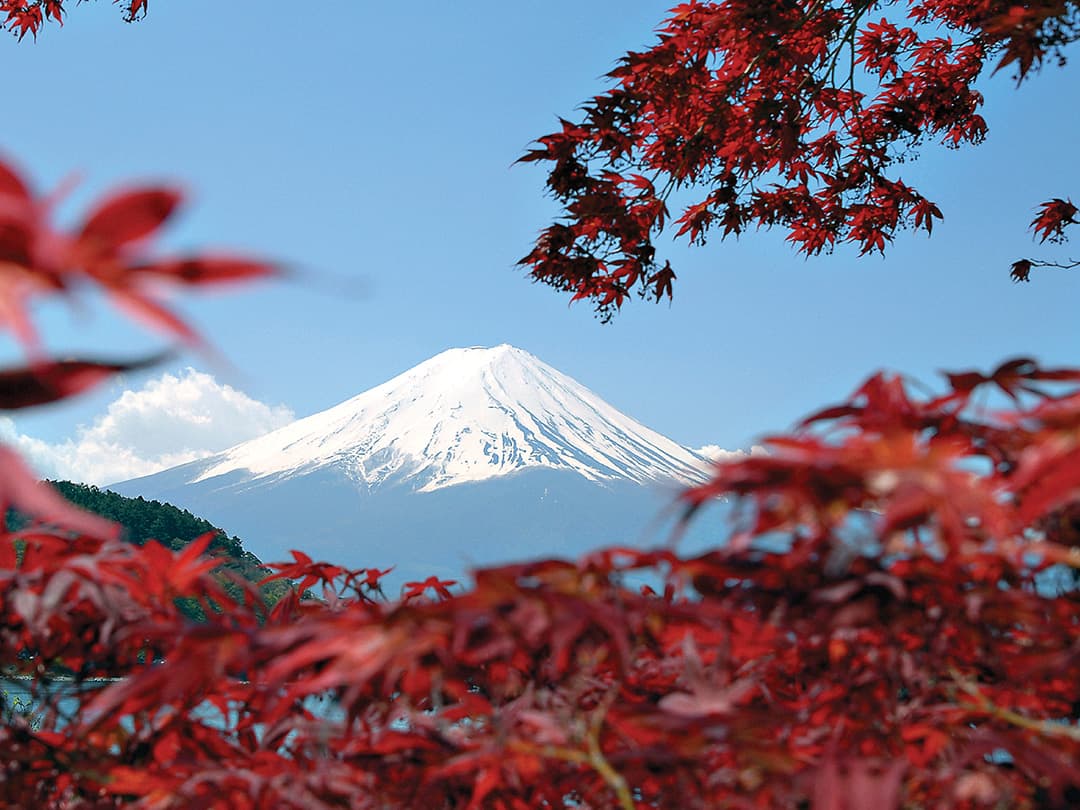 Absolute Active Japan