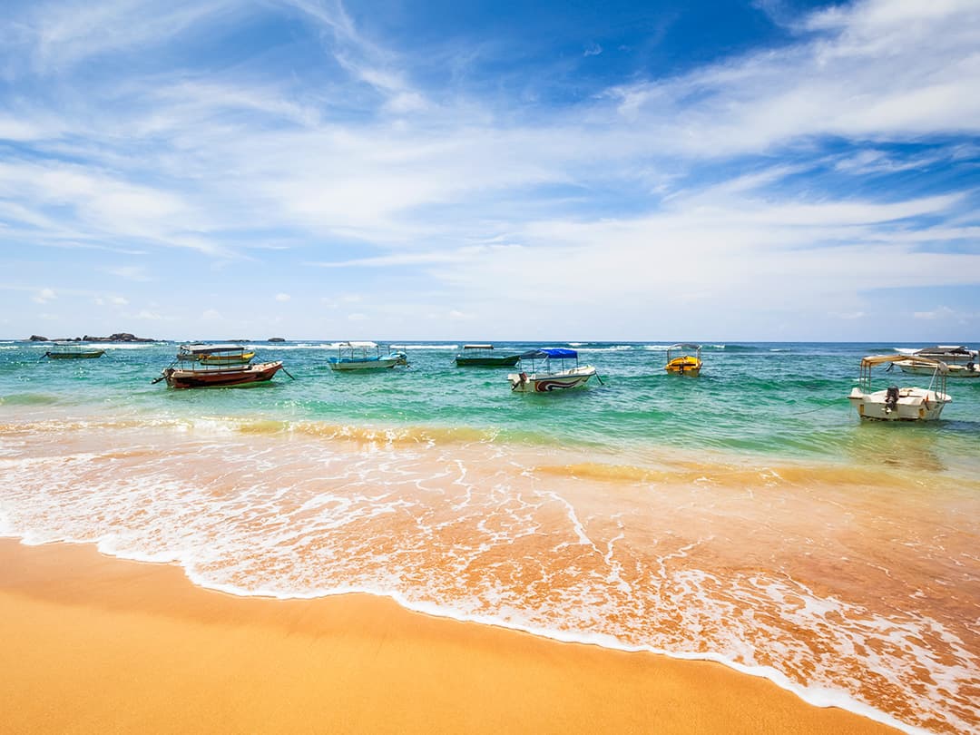 Discover Kerala & Sri Lanka: Islands & Ruins