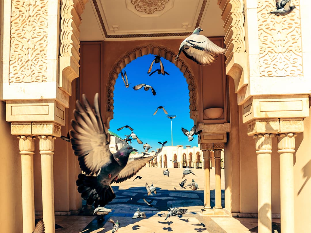 Morocco Adventure: Culture & Colour