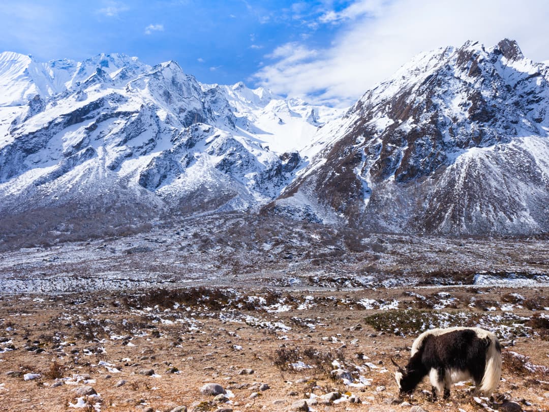 Annapurna Circuit Trek
