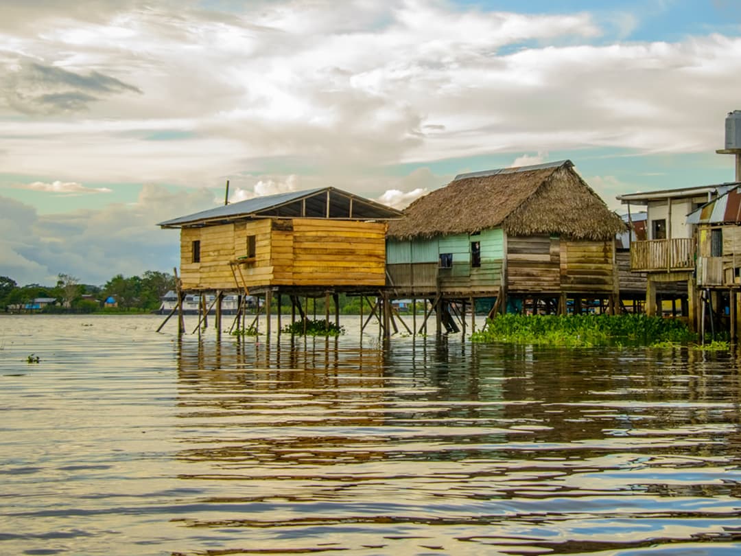 Amazon Riverboat Adventure In Depth