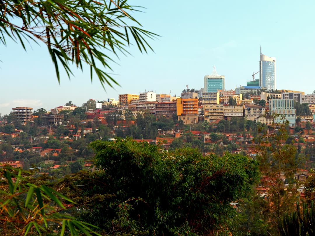 Masai Mara & Gorilla Adventure