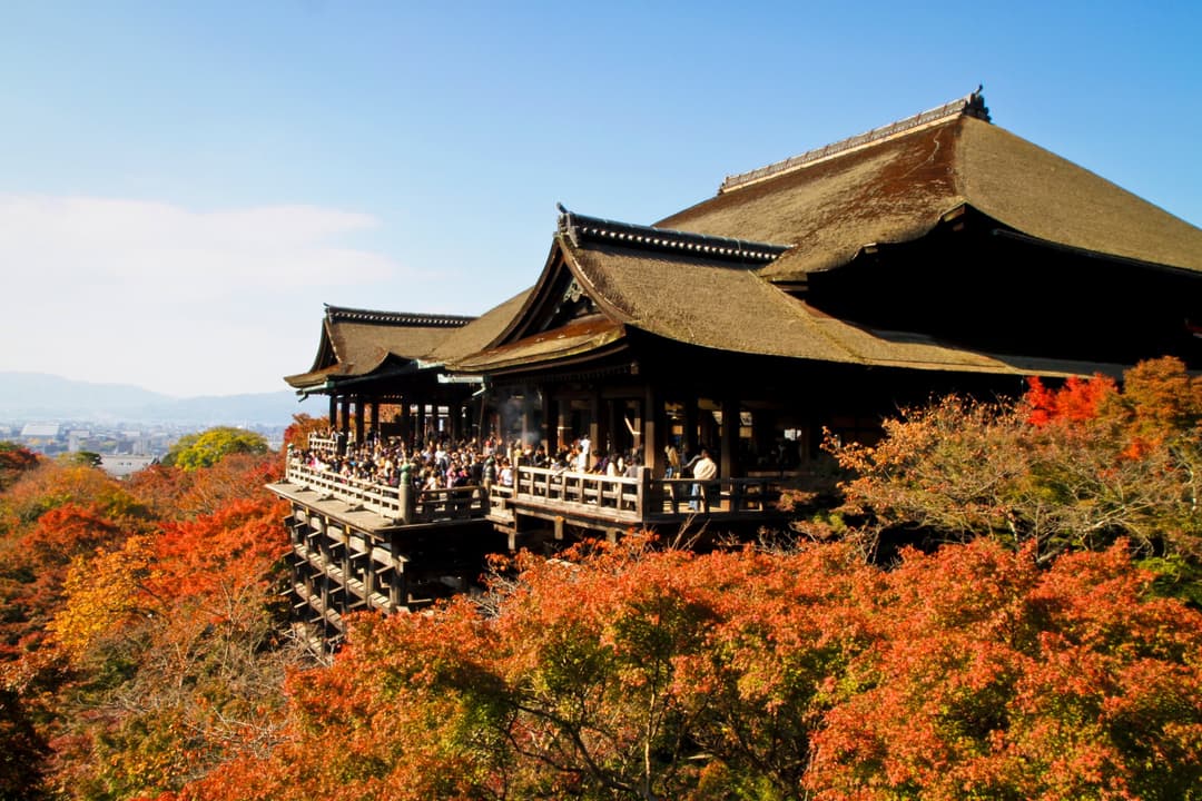 Epic Japan: Speed Trains & Street Food