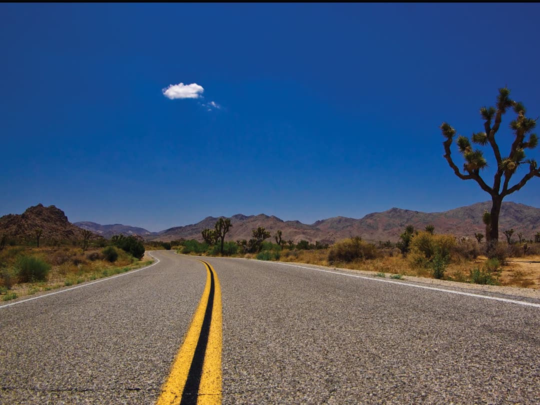 USA National Parks Explorer