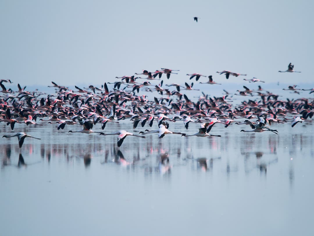 Delta & Falls Eastbound: Baobab Trees & River Views