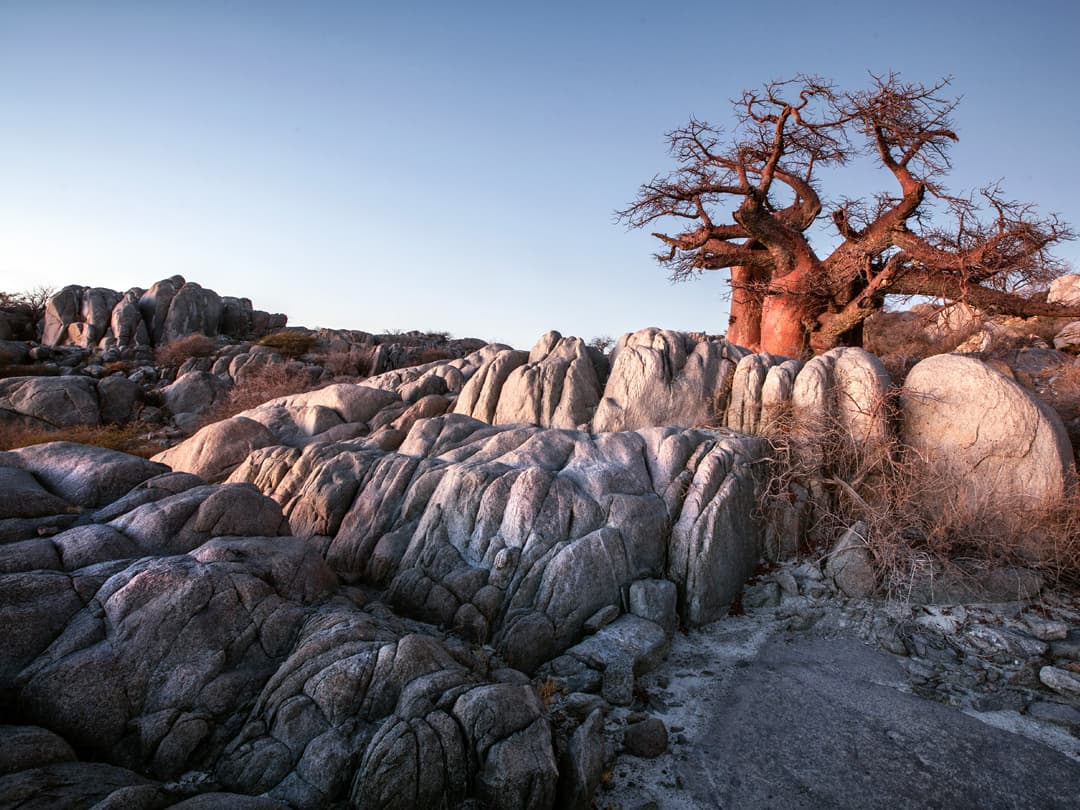 Delta & Falls Eastbound: Baobab Trees & River Views