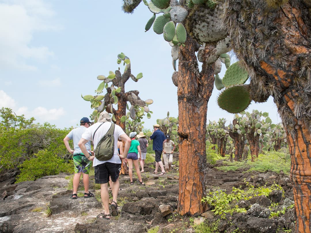 Complete Galápagos - Eden