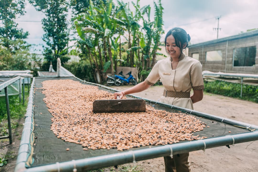 Bali and Komodo: Dragons, Rice Terraces & Cultural Ceremonies