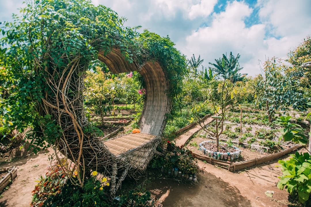 Bali and Komodo: Dragons, Rice Terraces & Cultural Ceremonies