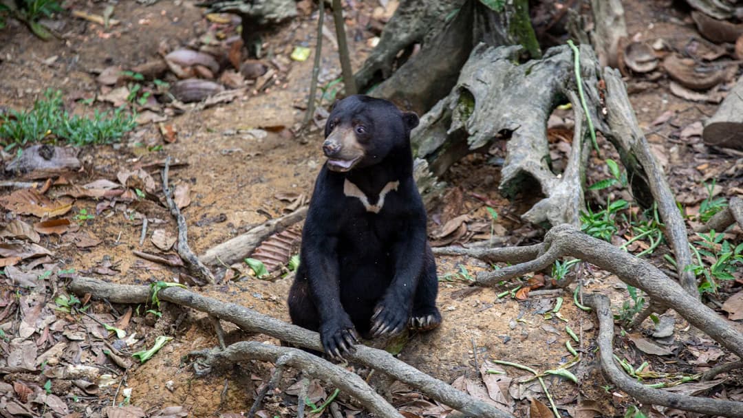 Signature: Vietnam, Laos & the Temples of Cambodia