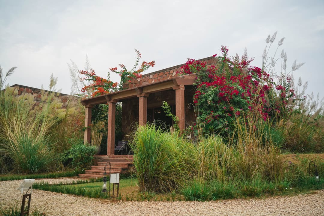 Northern India: Riverside Safaris, Ancient Fortresses & The Taj Mahal