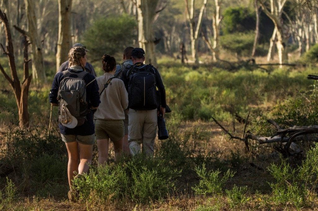 Southern Africa: Kruger, Victoria Falls & Zimbabwe National Parks