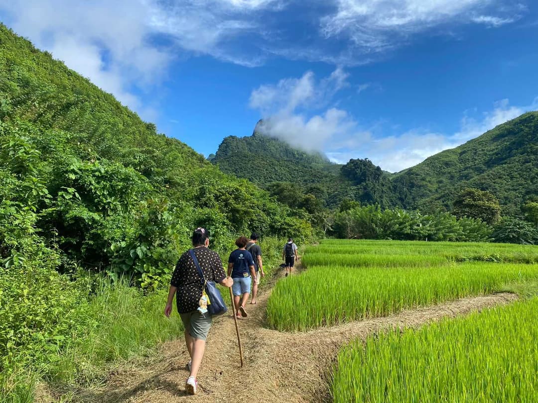 Southeast Asia Immersion: Vietnam, Cambodia, Thailand & Laos