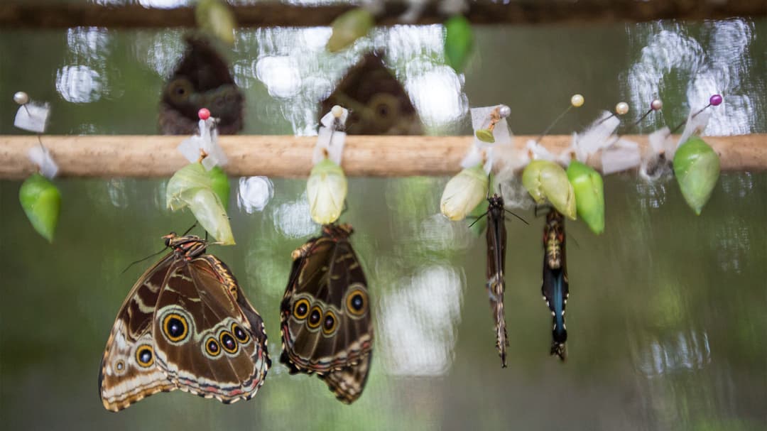 Epic Central America: Seven Countries & the Softest Sand Ever