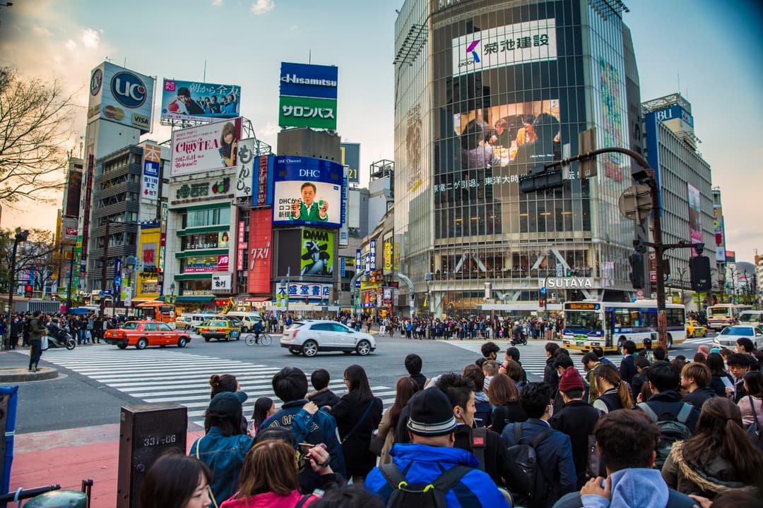 Absolute Active Japan