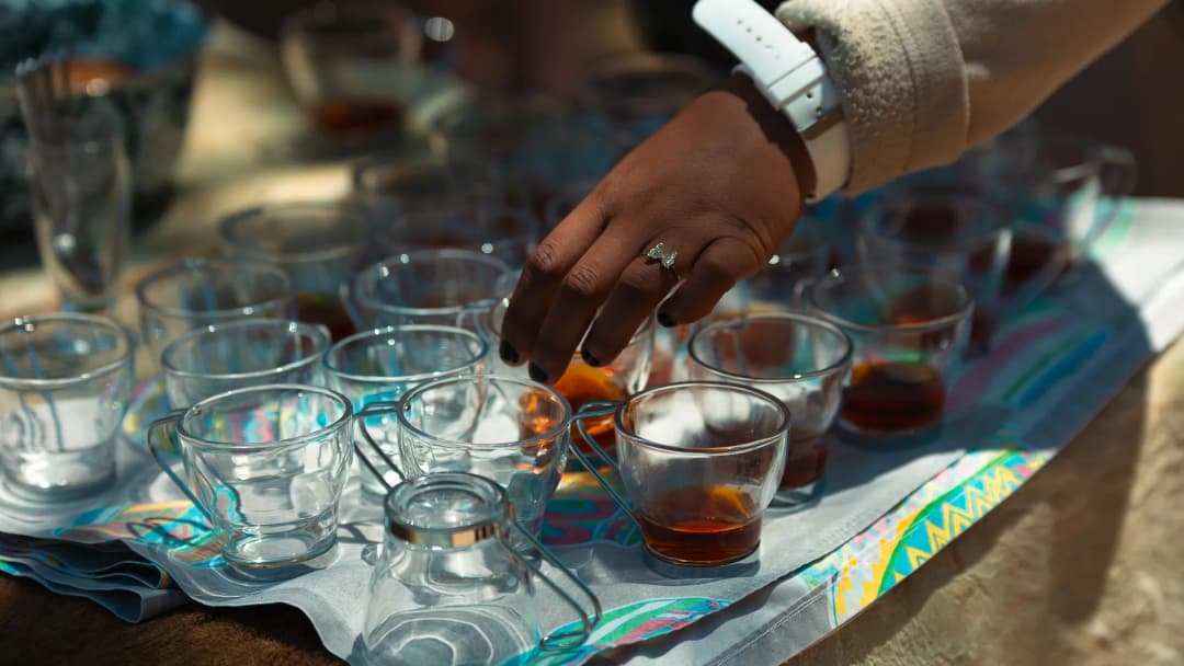 Signature: Southern Africa from Cape Town to Victoria Falls