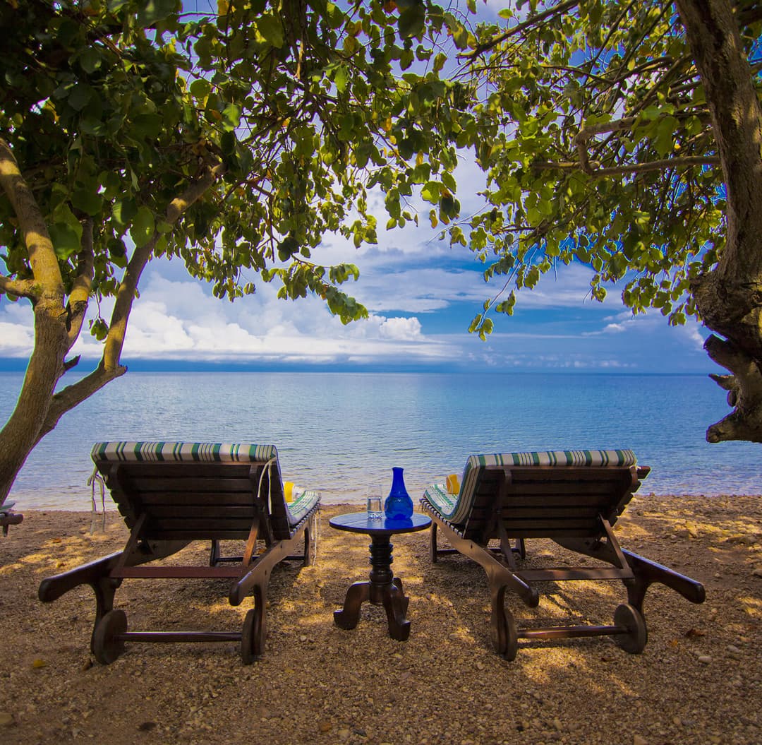 Tanzania: Chimp Trekking & Serengeti Safari