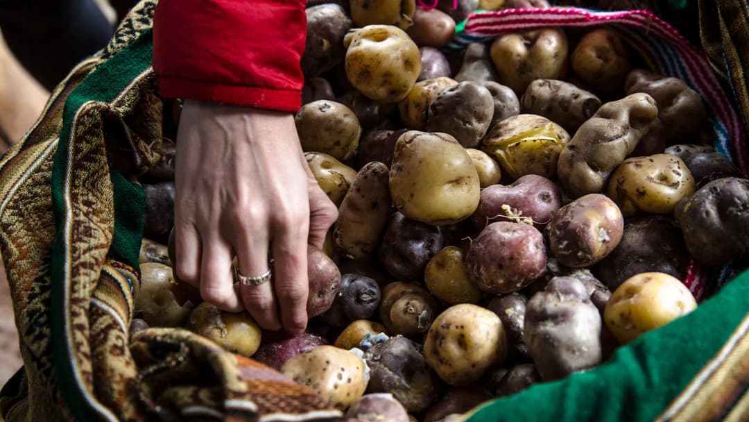 Signature: Peru from Machu Picchu to the Amazon Jungle