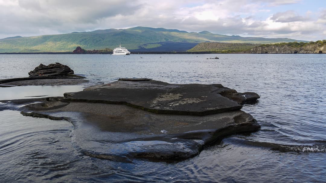 Complete Galápagos - Yolita