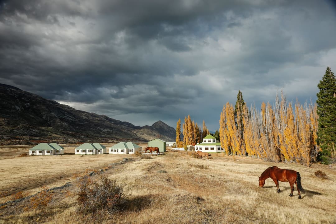 Patagonia: Torres del Paine & Los Glaciares National Park