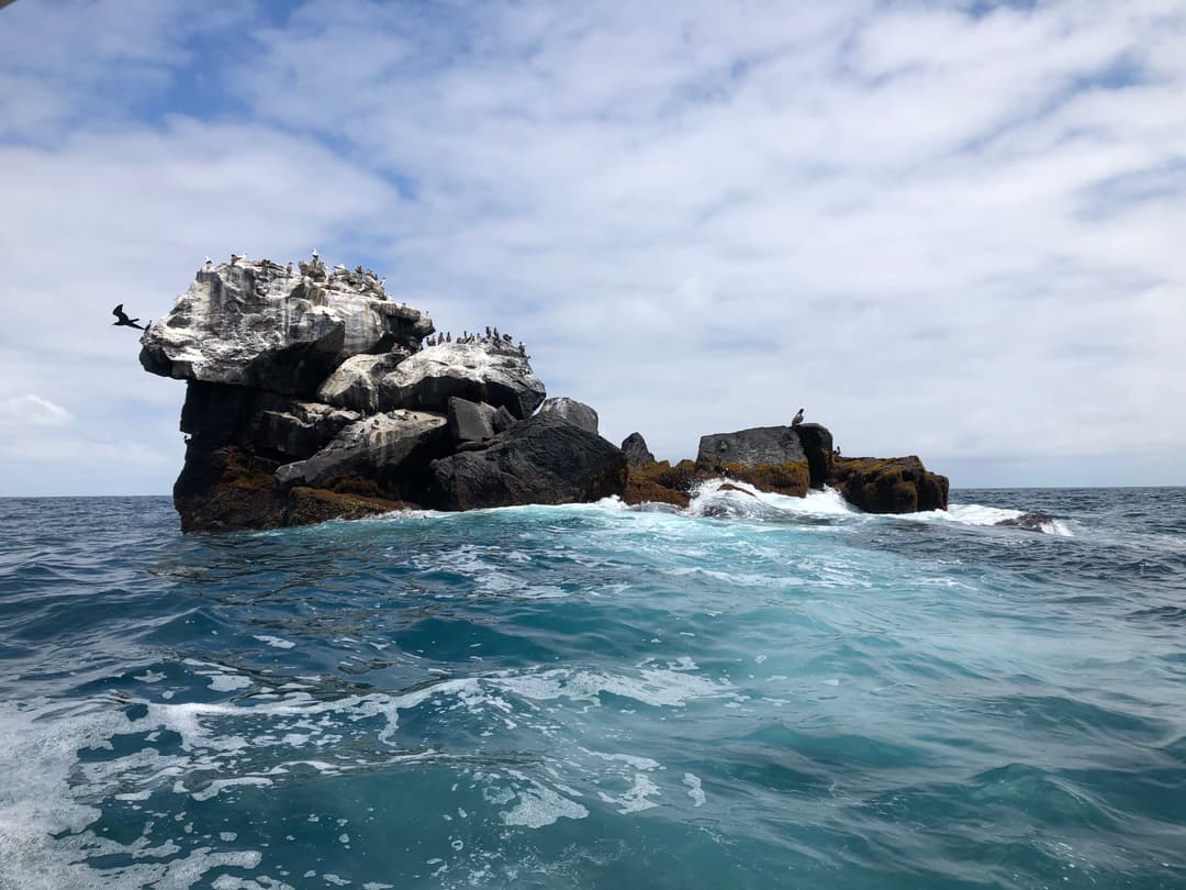 Complete Galápagos - Eden