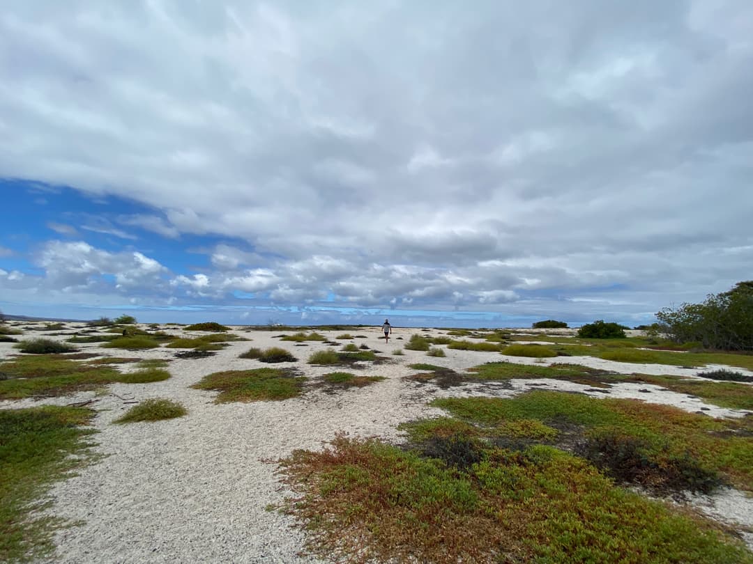 Complete Galápagos - Eden