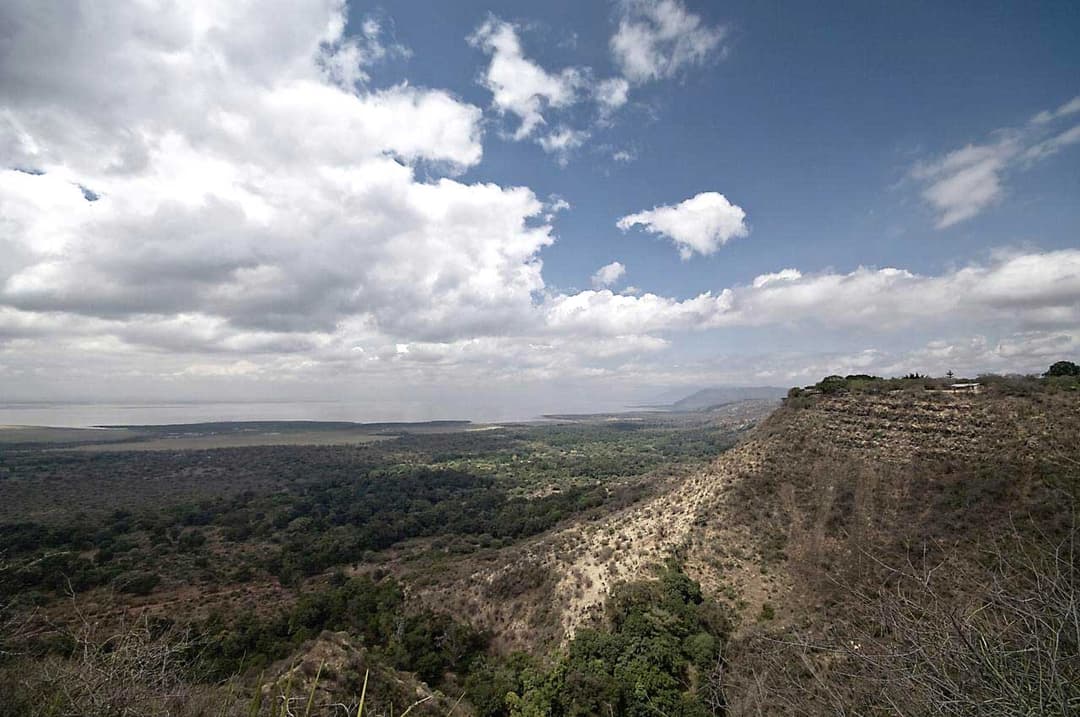 Journeys: Tanzania Safari Experience