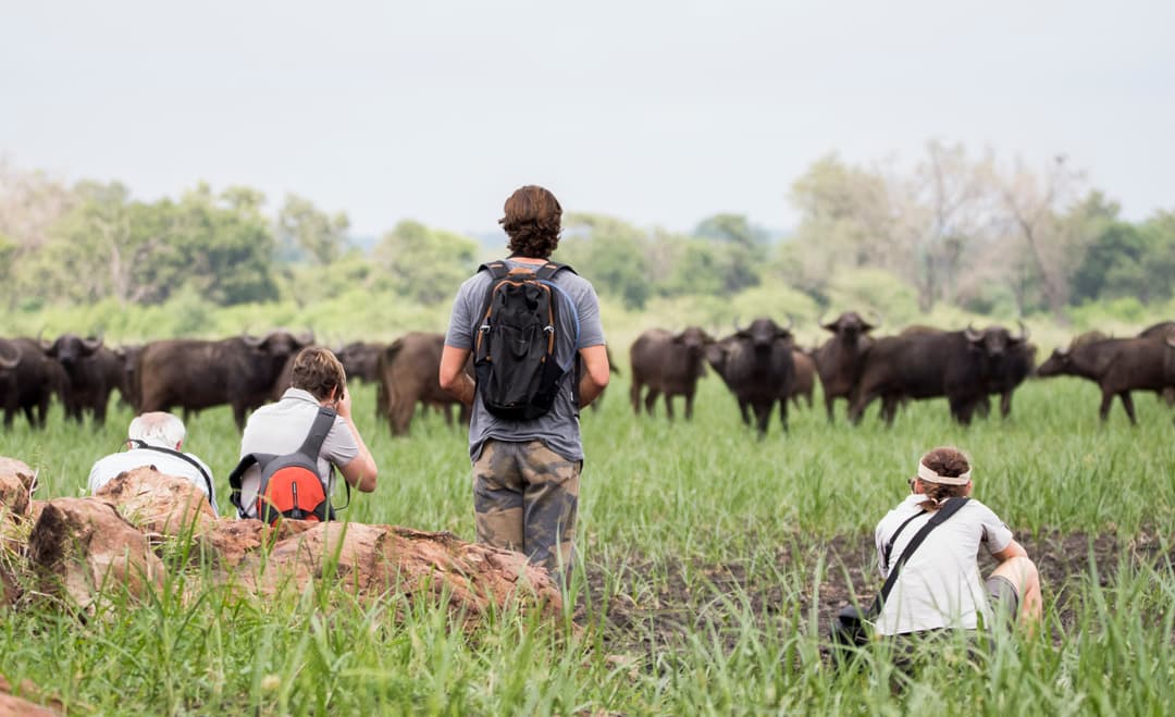 Southern Africa: Kruger, Victoria Falls & Zimbabwe National Parks