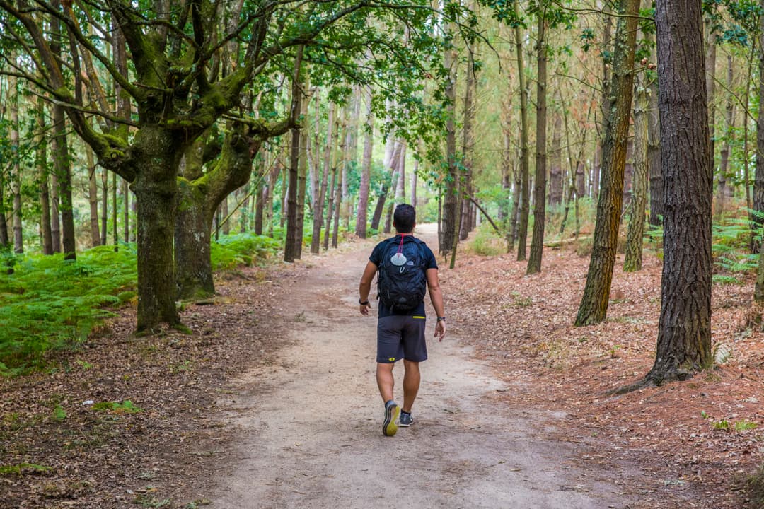 Camino de Santiago Encompassed