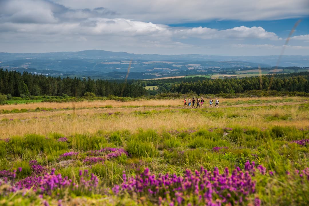 Camino de Santiago Encompassed