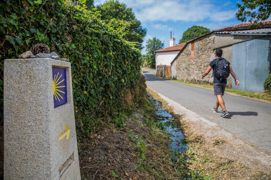 Camino de Santiago Encompassed